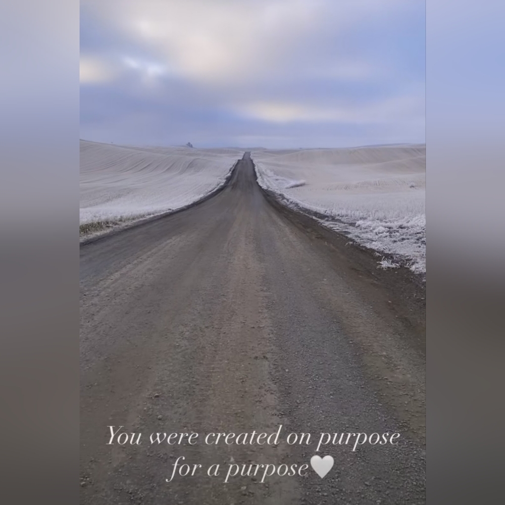 A New Year... New Opportunities!